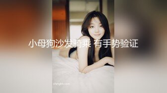 小母狗沙发骑乘 有手势验证