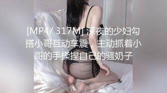 极品蓝裙气质女2