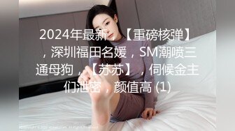 [中文有码]這裡是全裸家政婦派遣所 春風光