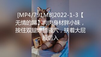 [MP4/791MB]2022-1-3【无情的屌】肉肉身材胖小妹，按住双腿爆插骚穴，扶着大屁股后入