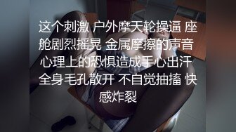 这个刺激 户外摩天轮操逼 座舱剧烈摇晃 金属摩擦的声音 心理上的恐惧造成手心出汗 全身毛孔散开 不自觉抽搐 快感炸裂