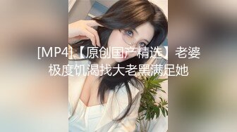 极品小少妇中集