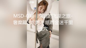 MSD-038   空姐的飞淫之旅-奢糜篇 -陈美琳 纸醉金迷千里送穴