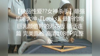 毒药杭州17公分雁型JJ第二季第二部