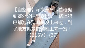 【自整理】深夜开车带着母狗到郊外公园里露出，一路上鸡巴都泡在狗嘴里没出来过，到了地方抓紧按倒地上来一发！【115V】 (27)