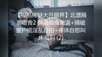 户外车震良家少妇（全集）