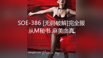 SOE-386 [无码破解]完全服从M秘书 麻美由真