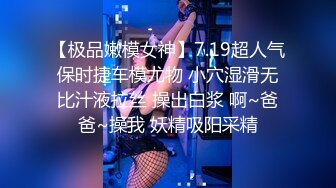 【超美颜值 美艳女神】秀人超人气女神『杨晨晨』车内痴汉黑丝长腿极致魅惑 女仆装性感诱人 自摸揉胸