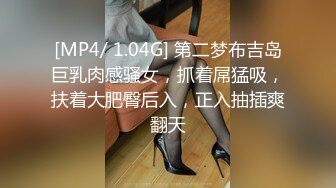 约炮人妻良家 FC2卖家 人妻愛奴 部分中文字幕合集【45V】 (34)