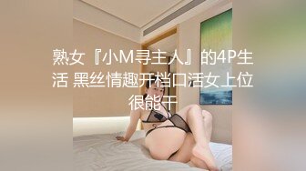 国产麻豆AV MD MD0225 骚女水电工 玥可岚