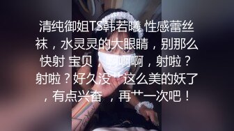 精品不是自己老婆就不用爱惜，狠狠后入，惨烈娇喘