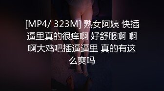 西安029无套打桩爆操大屁股骚逼