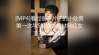 秀人网模特！E奶女神瑞瑞！丰乳肥臀，豹纹内裤极其风骚，馒头肥穴揉搓