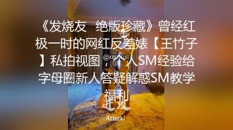 《发烧友✅绝版珍藏》曾经红极一时的网红反差婊【王竹子】私拍视图，个人SM经验给字母圈新人答疑解惑SM教学福利