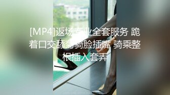 严选.欧美SM带剧情各大片商收集高清合集.下【27V】 (4)