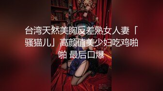 【自整理】Aliciatrece 马背上性感的女孩 【228V】 (75)