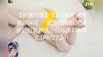 商场女厕蹲守性感黑丝少妇的小黑鲍