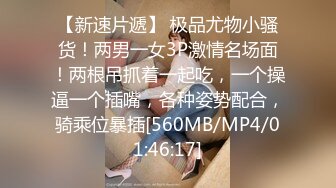 [MP4]另类玩法SM调教美臀小姐姐 第二场慢慢玩 女仆装带上情趣手铐