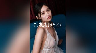 某高档酒店女厕偷拍两个漂亮美女嘘嘘108P高清