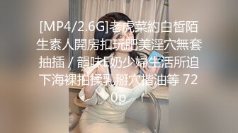 国产麻豆AV MD MD0120 狼人插2 骚气女神 唯爱AV版 李文雯 夏晴子