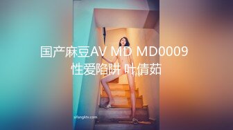 国产麻豆AV MD MD0009 性爱陷阱 叶倩茹