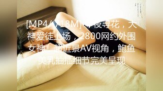 国产麻豆AV 麻豆女神微爱影片 窈窕姿色 旗袍诱惑 韩依人