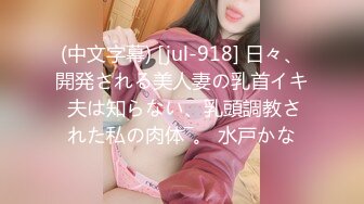 [MP4/ 732M]&nbsp;&nbsp;网吧包厢顶级美女泽美情趣内衣网袜激情艳舞 按在键盘上疯狂输出