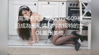 [MP4/190MB]明星颜值美女与男友大尺度自拍泄密