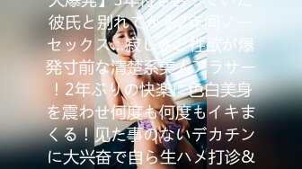 【国产版】[XSJKY-073]斑斑 黑道小弟策反抢巨乳嫂子 性视界传媒