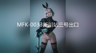 MFK-0033新川站三号出口