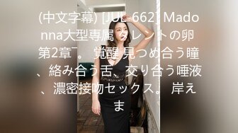 人妻なでしこ调教 ～大人気の美魔女を初调教