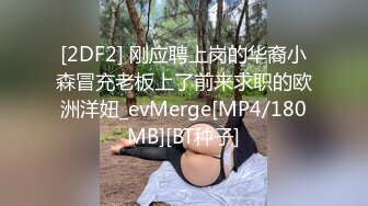 [2DF2] 刚应聘上岗的华裔小森冒充老板上了前来求职的欧洲洋妞_evMerge[MP4/180MB][BT种子]