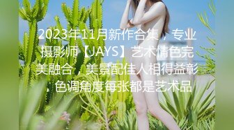 2023年11月新作合集，专业摄影师【JAYS】艺术情色完美融合，美景配佳人相得益彰，色调角度每张都是艺术品