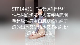 【极品稀缺❤️全网首发】尾巴爱好者的母狗性女奴❤️肛塞尾巴淫戏调教 甄选肛塞尾巴图集 粉穴嫩鲍 高清720P原版V (11)