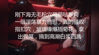 高清无水印珍藏版 高铁女神乘务员和靓丽的女乘客 (4)