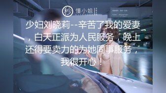 未知情侣的爱情【中集】