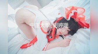 中正大學_胡婷珊