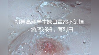 MSD-008_出軌的妖豔少婦騷浪淫亂性癮大開官网袁子仪