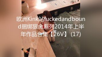 欧洲Kink站fuckedandbound捆绑狠肏系列2014年上半年作品合集【26V】 (17)