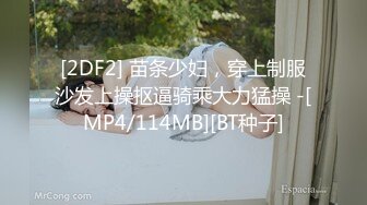 [2DF2] 苗条少妇，穿上制服沙发上操抠逼骑乘大力猛操 -[MP4/114MB][BT种子]