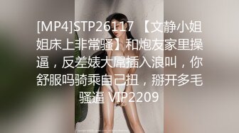 [MP4]STP26117 【文静小姐姐床上非常骚】和炮友家里操逼，反差婊大屌插入浪叫，你舒服吗骑乘自己扭，掰开多毛骚逼 VIP2209