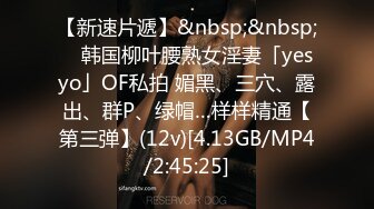 【新速片遞】&nbsp;&nbsp; ✨韩国柳叶腰熟女淫妻「yesyo」OF私拍 媚黑、三穴、露出、群P、绿帽…样样精通【第三弹】(12v)[4.13GB/MP4/2:45:25]
