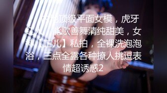 【重磅核弹】秀人网巨乳网红 朱可儿 520元圣诞特别篇VIP福利 (1)