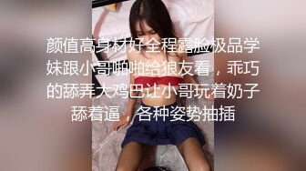 偷情95大奶黑丝小少妇