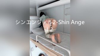 シンエンジェル2-Shin Angel 2