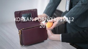 KOREAN PORNO kp15012201